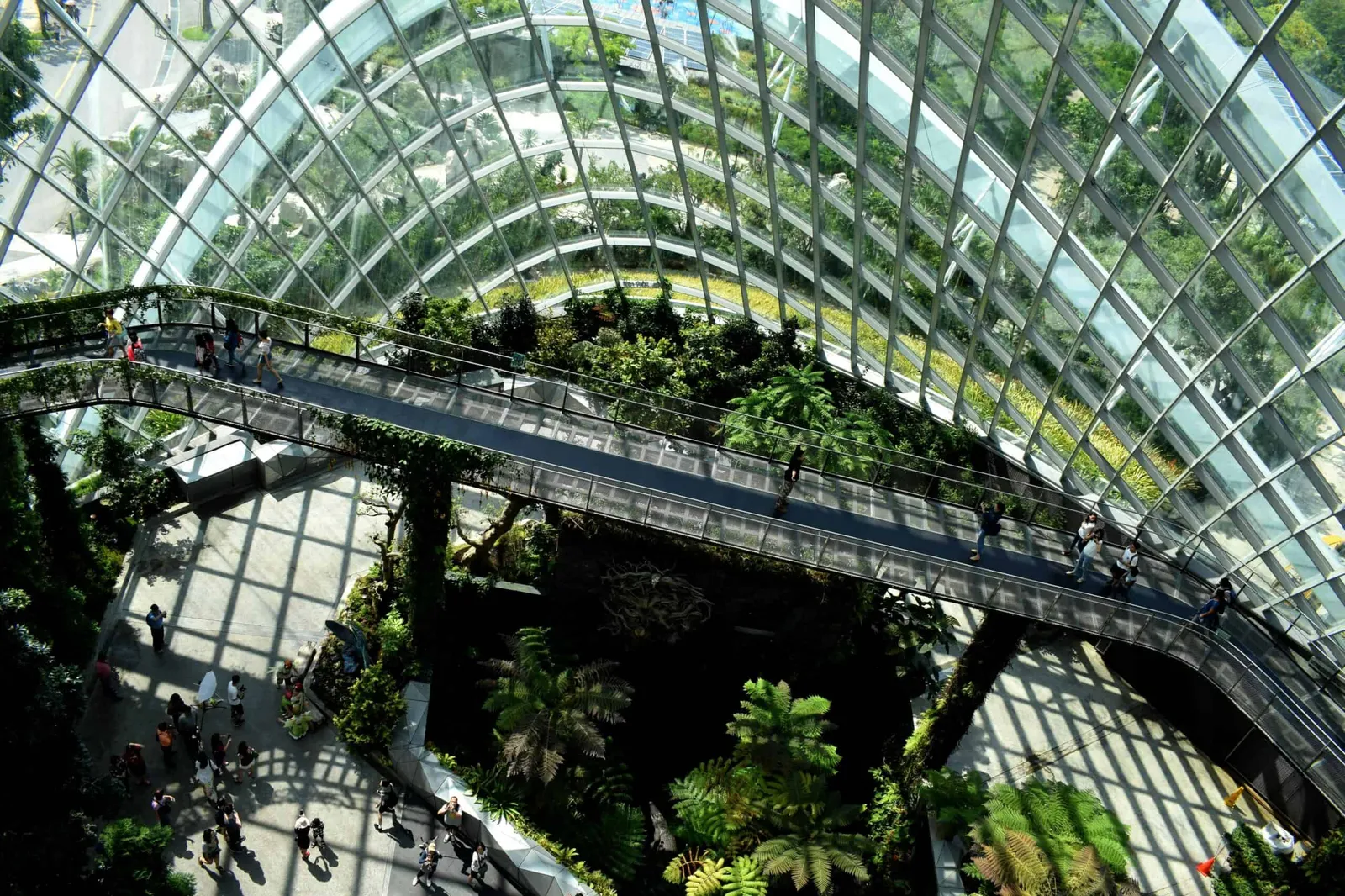 De ce hotelul tău are nevoie de monitoare de cameră pentru a fi „verde”